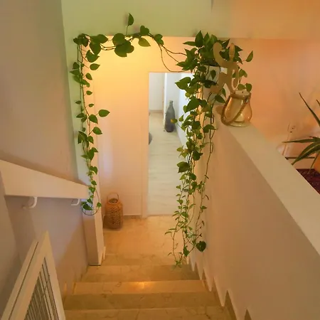 Duplex In Apartament Estepona